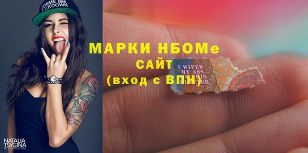 шишки Арсеньев
