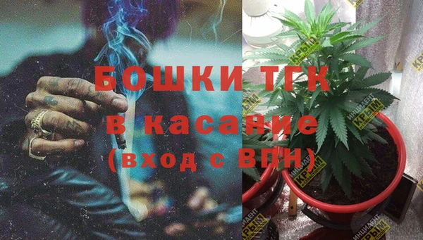 прущие крисы Аркадак